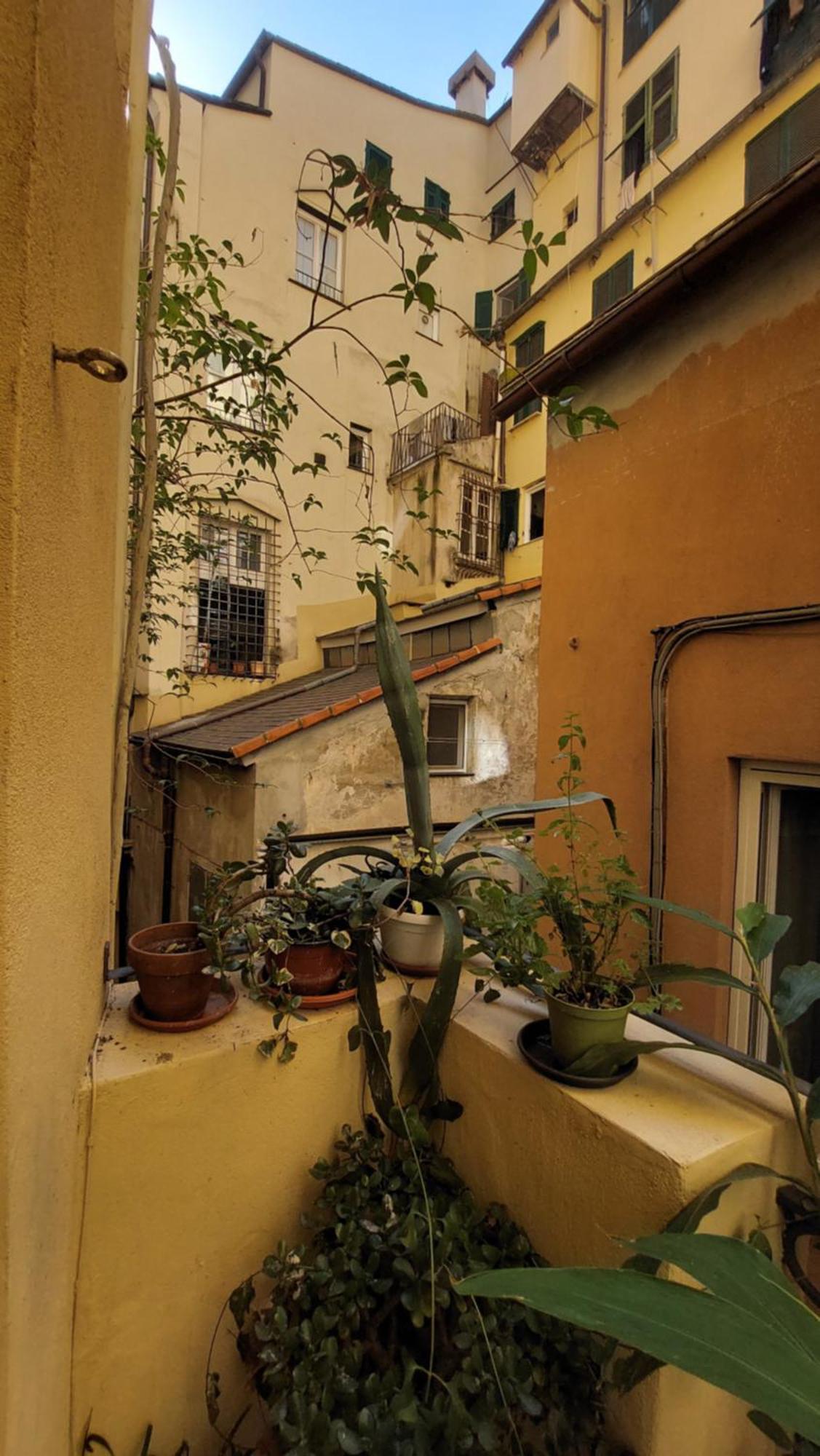 L'Angolo Verde In San Luca Genova Eksteriør billede